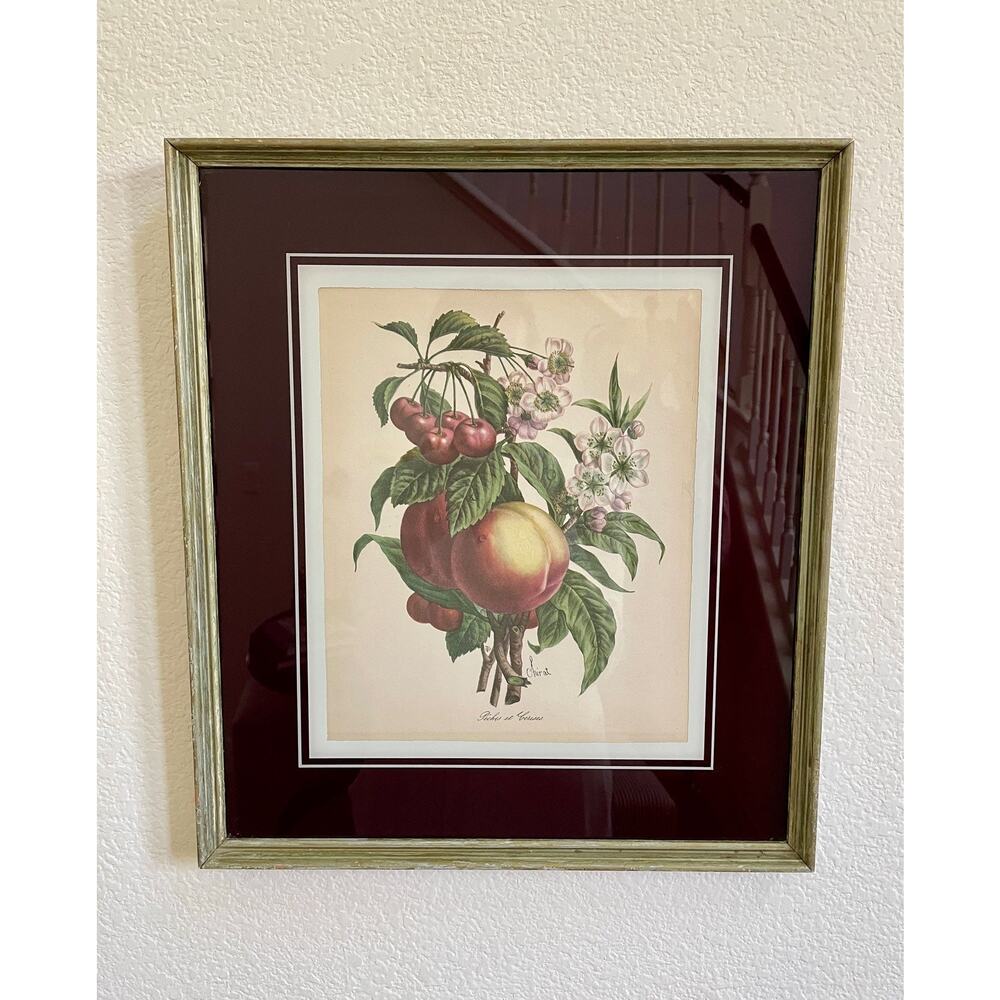 1940s Chirat Botanical Fruit Vintage Framed Print French Country Farmhouse